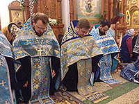 В праздник Иверской иконы Божией Матери епископ Ливенский и Малоархангельский Нектарий совершил Божественную литургию в храме Иверской иконы Божией Матери города Орла, приуроченную к престольному празднику храма. 26 октября 2015 г.