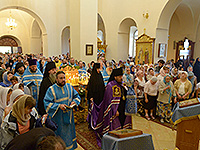 Паломническая группа Орловской митрополии во главе с епископом Ливенским и Малоархангельским Нектарием посетила Святую Землю. 28 октября — 6 ноября 2015 г.